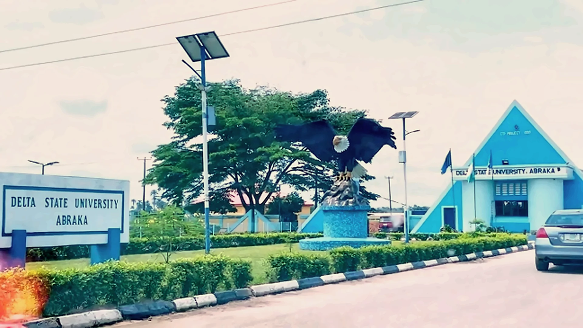 Daily life around the MyCampusPadi community
